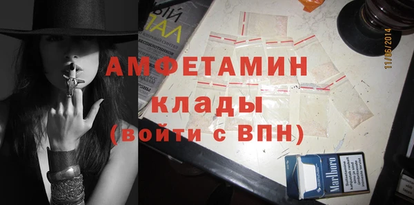 гашик Новодвинск