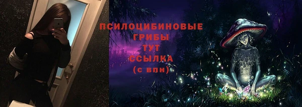 гашик Новодвинск