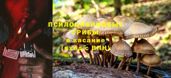 гашик Новодвинск