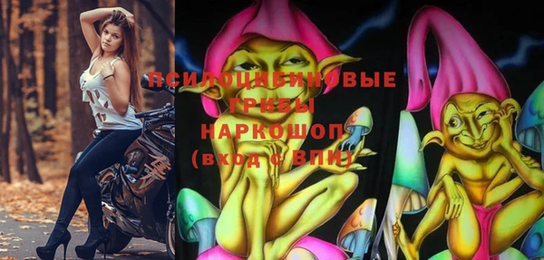 каннабис Новозыбков