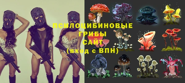 каннабис Новозыбков