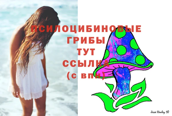 каннабис Новозыбков