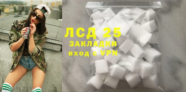 гашик Новодвинск