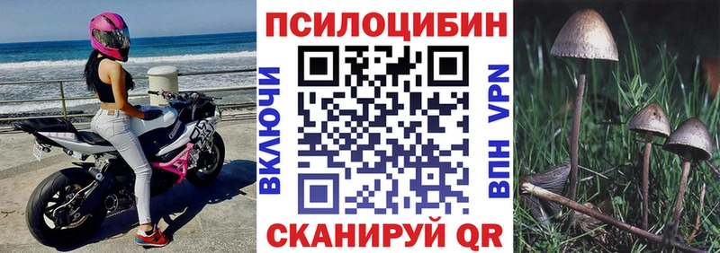 продажа наркотиков  Бийск  Псилоцибиновые грибы прущие грибы 